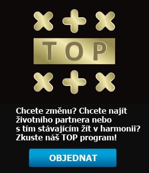 transformační TOP program